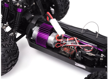 Crazist Monstertruck brushed 4WD 1:10 RTR