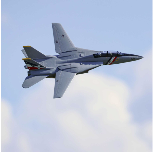 F-14 Tomcat Twin 40mm EDF BNF Basic