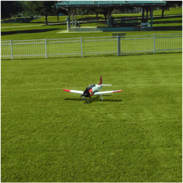 RealFlight Evolution RC Flight Simulator Software Only